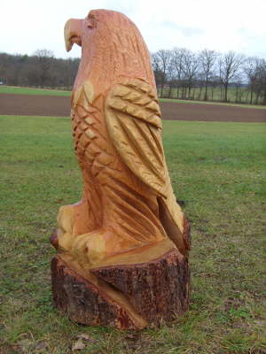 Adler B 03