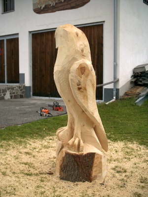 Adler sterreich A 01