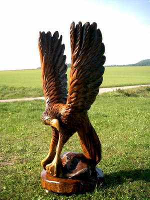 Adler im Anflug A 02