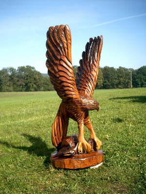 Adler im Anflug A 03