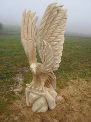 Adler im Anflug C