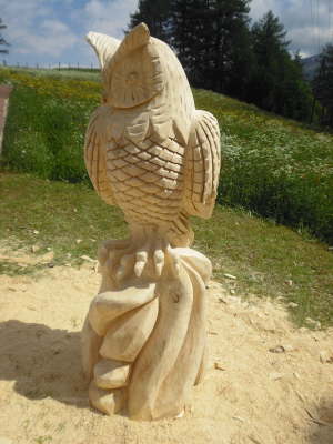 Eule �sterreich 01