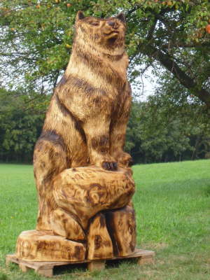 Grizzlyb�rin auf Stein 03